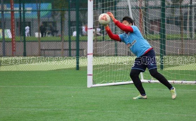 谈球吧体育官网最新在线入口京东足球运动员埃米尔福斯的成功秘诀与职业生涯精华