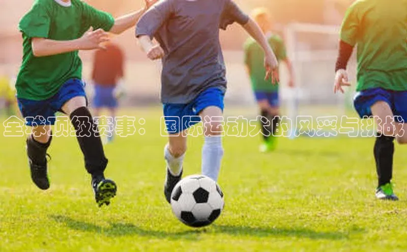 谈球吧app小度商城全球顶级赛事：国际运动犬的风采与挑战