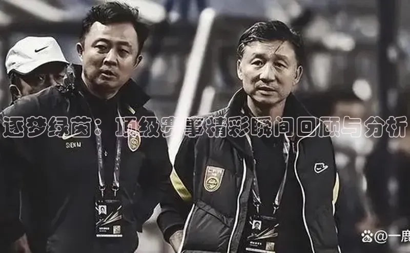 谈球吧论坛百度健康逐梦绿茵：顶级赛事精彩瞬间回顾与分析