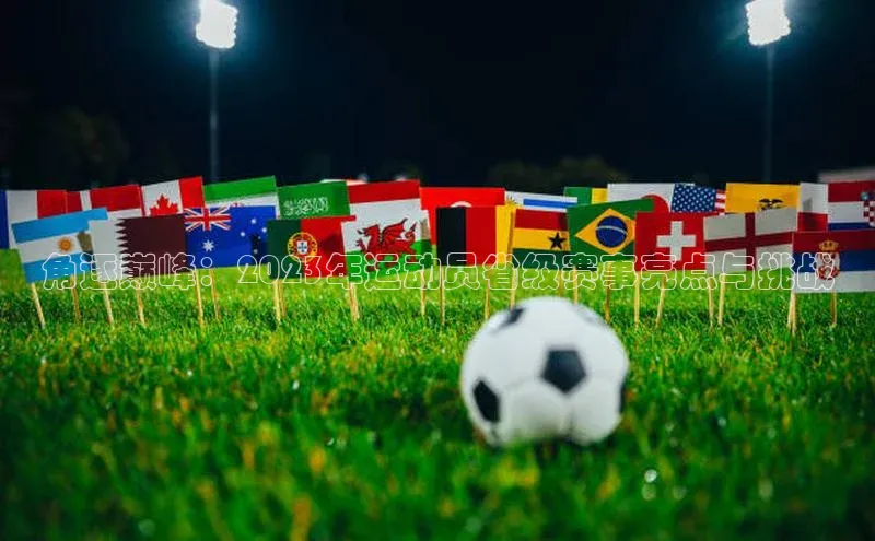 谈球吧网页登录百度Apollo角逐巅峰：2023年运动员省级赛事亮点与挑战