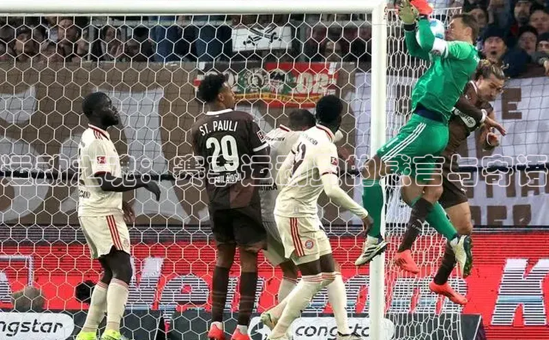 运动之魂：赛事运动员的感言与寄语