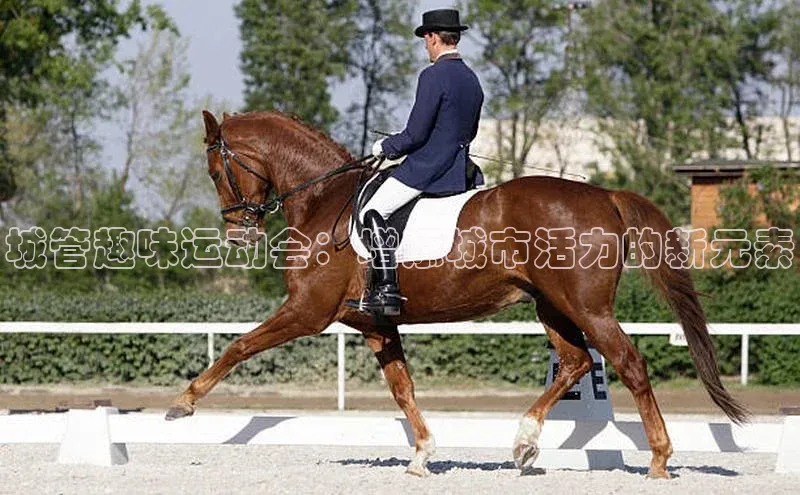 城管趣味运动会：增添城市活力的新元素