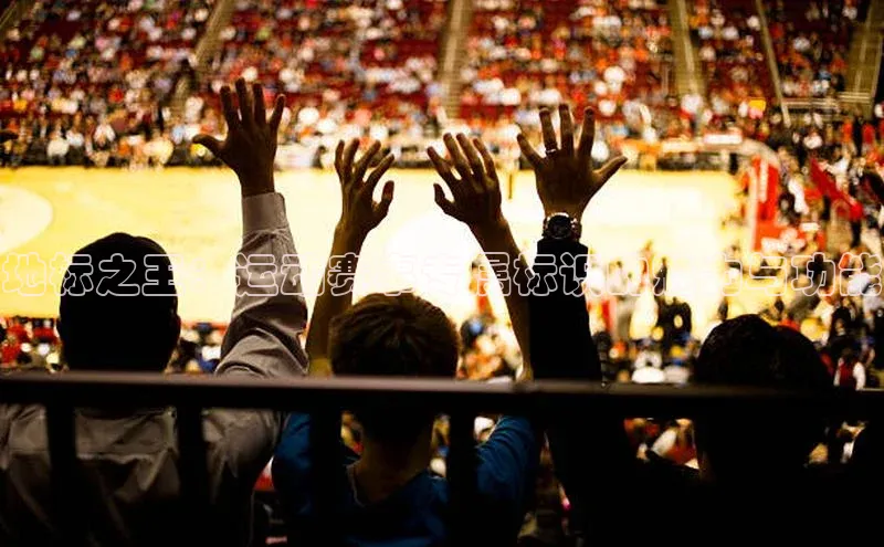 地标之王：运动赛事专属标识的魅力与功能