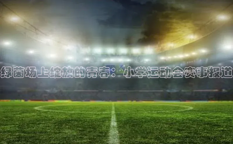 绿茵场上绽放的青春：小学运动会赛事报道