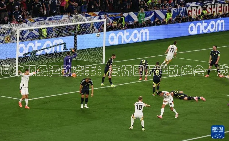 日本顶级运动赛事：高桥国际运动盛会一览