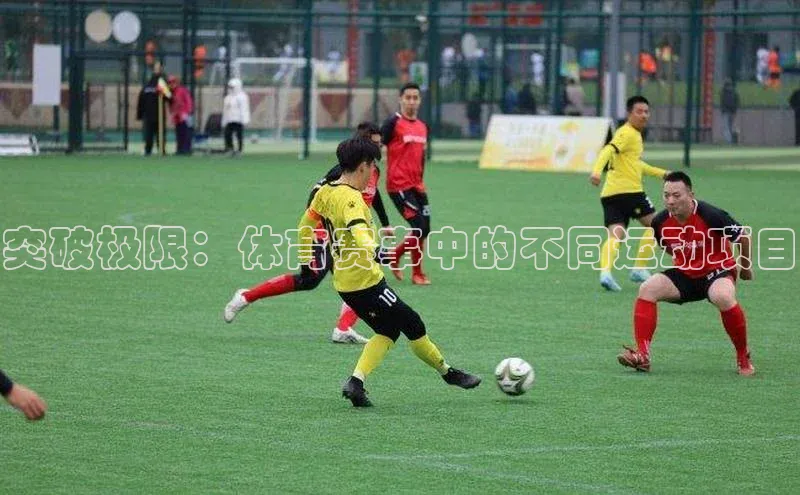 突破极限：体育赛事中的不同运动项目