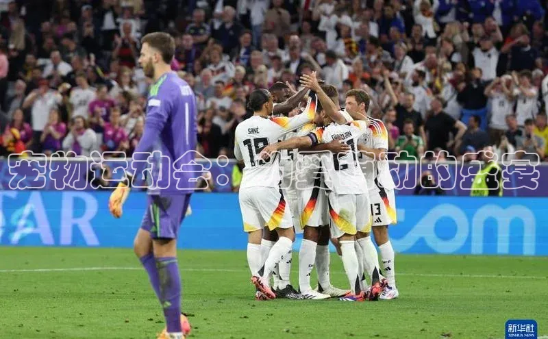 宠物运动会：为爱萌动的盛宴