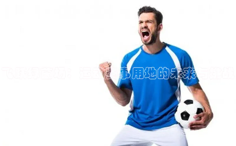 飞跃绿茵场：运动赛事用地的未来与挑战