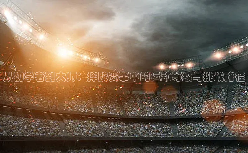 从初学者到大师：摔跤赛事中的运动等级与挑战路径